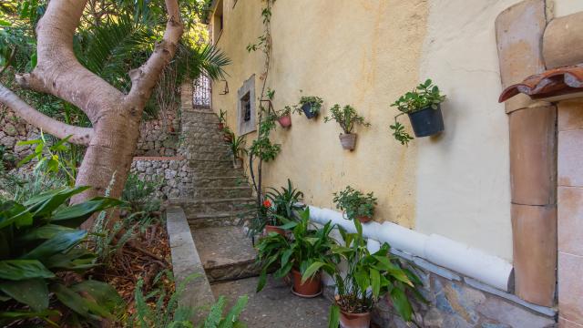 Finca Coster Can Moragues