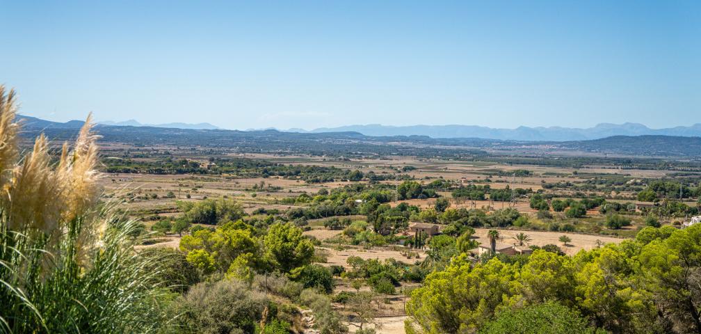 Finca Bibiana