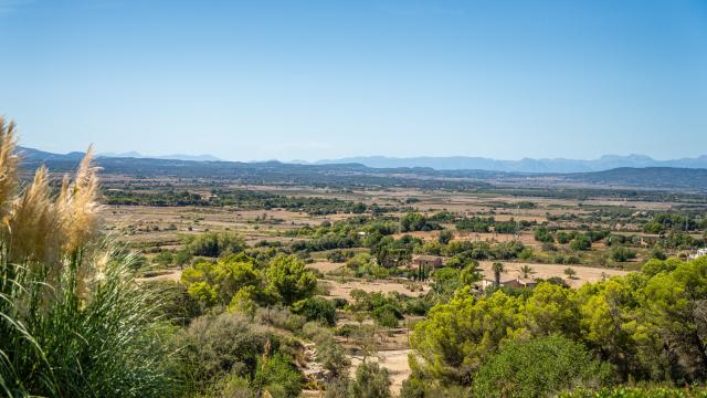 Finca Bibiana