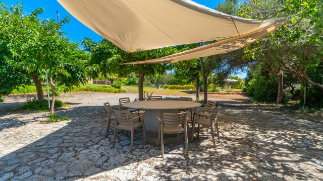 Finca Es Sestador