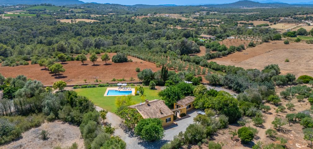 Finca Es Sestador