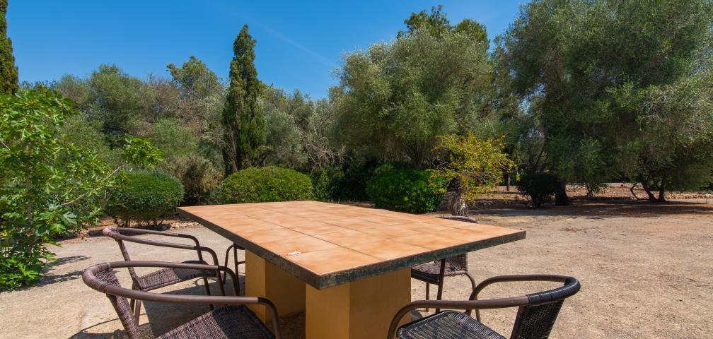 Finca Ses Cases