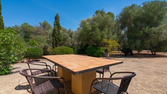 Finca Ses Cases