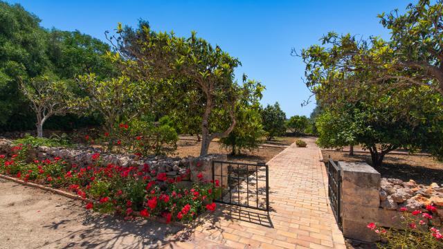 Finca Ses Cases