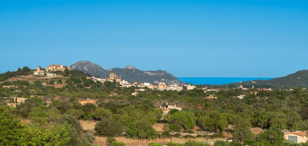 Finca Son Espino