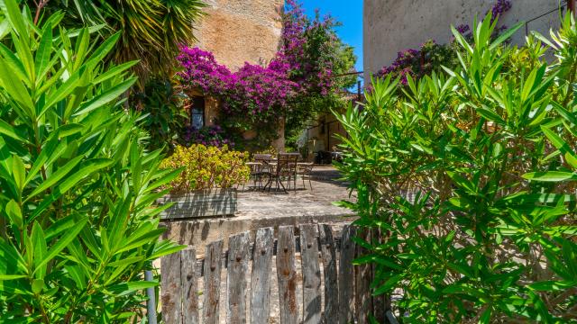 Finca Son Favar