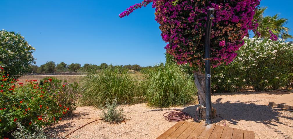 Finca Can Cariño