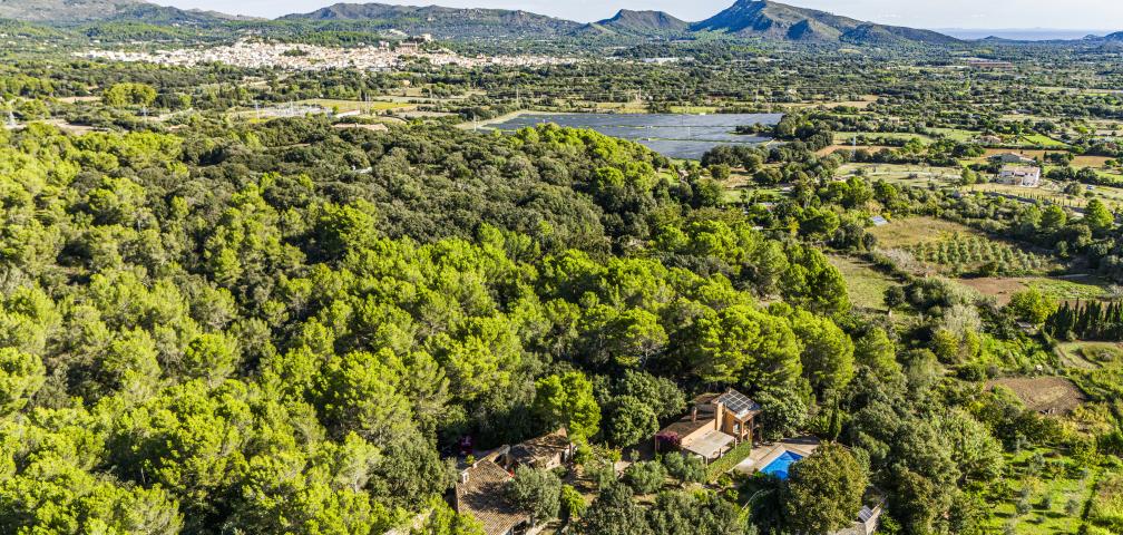 Finca Na Pineda