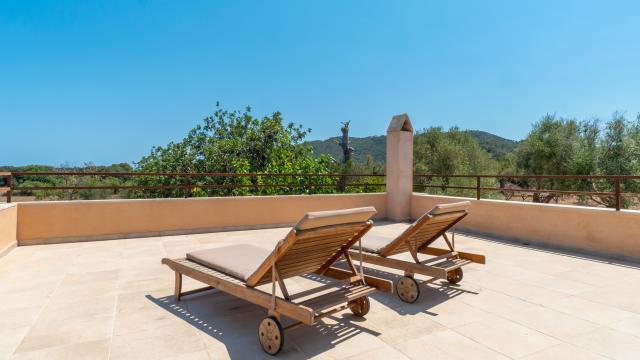 Finca Sa Torre de Canyamel