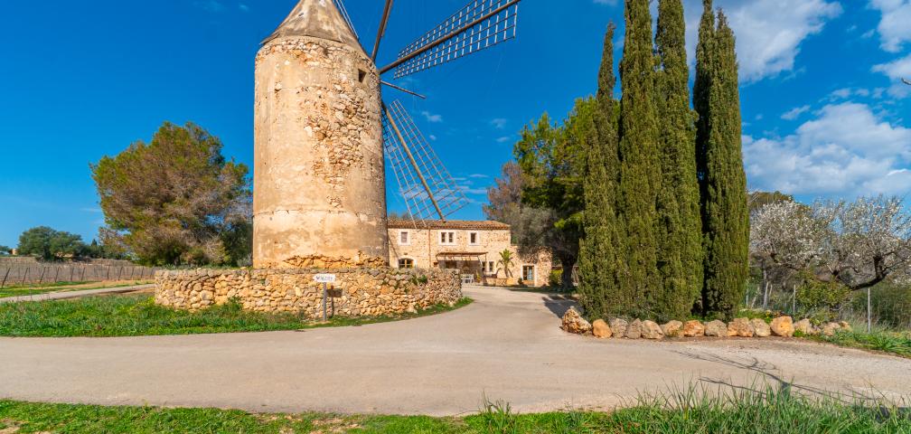 Finca Es Moli