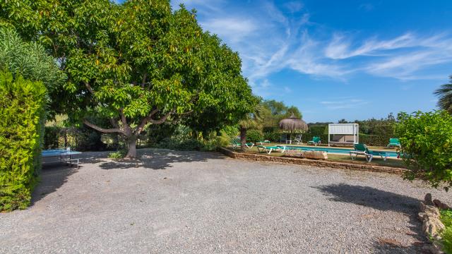 Finca Compteses Petit